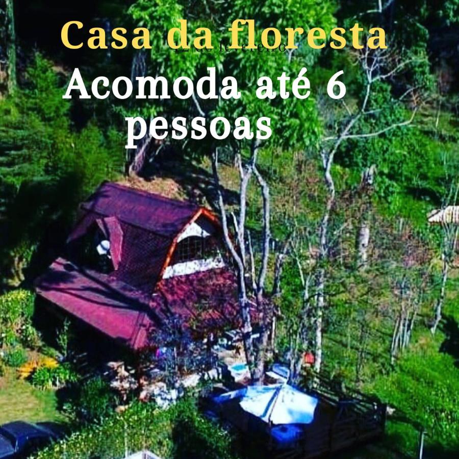 Casa de férias Casa Na Floresta Em *