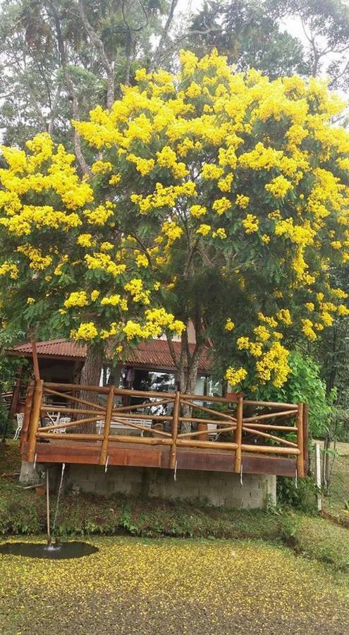 Casa Na Floresta Em * Campos do Jordão